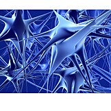   Neuron, Nervenzelle, Zellkörper, Nervensystem