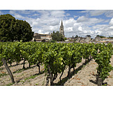   Bordeaux, Weinanbau