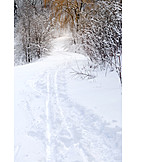   Winter landscape, Snowy, Snow track