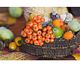  Autumn, Autumn, Rowanberry, Autumn decoration