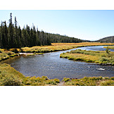   River, Yellowstone national park, Snake river