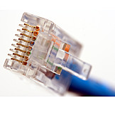   Plug, Network connector, Rj45