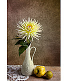   Flower vase, Dahlia, Still life