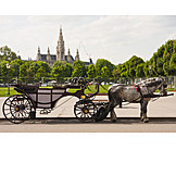   Vienna, Horse Carriage, Fiaker
