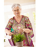   Seniorin, Topfpflanze, Blumenpflege