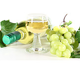   Indulgence & Consumption, Wine, White Wine