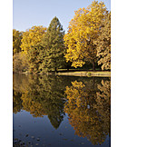   Lake, Indian Summer, Autumn Forest