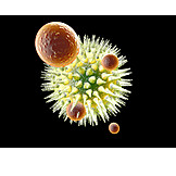   Antibody, Immune System, Medical Illustrations