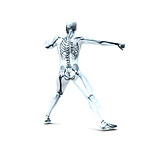  Skeleton, Computer Graphics, Medical Illustrations
