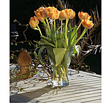   Bouquet, Vase, Tulips bloom