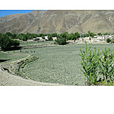   Rural scene, Tibet
