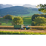   Landwirtschaft, Ernte, Traktor, Maisernte, Berchtesgadener land