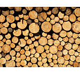   Wood, Wood pile