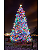   Weihnachtsbaum, Washington