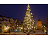   Weihnachtsbaum, Gotha, Weihnachtlich