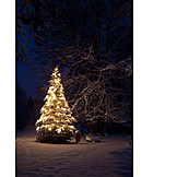   Christmas Tree, Christmas