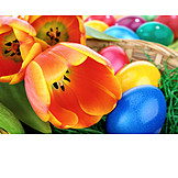   Easter, Easter Egg, Easter Nest