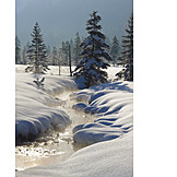   Stream, Winter, Winter landscape