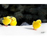   Easter, Snow, Easter Chicks
