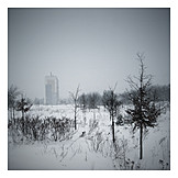   Landscape, Winter, Tristesse