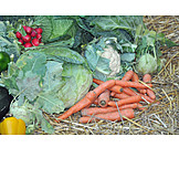   Vegetable, Harvest, Vegetable shop