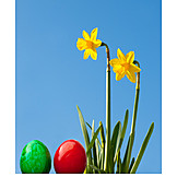   Easter, Easter Egg, Daffodils