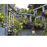   Garten, Blume, Blumenfenster, Gärtnerei