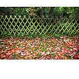   Garden, Autumn, Leaves, Rail Fence