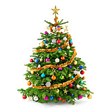   Christmas, Christmas tree