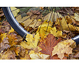   Autumn, Bicycle Tires, Slipping Hazard
