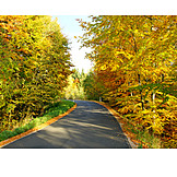   Autumn, Road