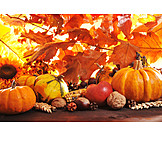  Harvest festival, Harvest time, Autumn decoration