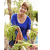   Frau, Gartenarbeit, Karottenernte
