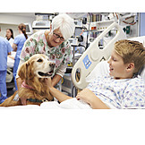   Junge, Krankenhaus, Hundetherapie, Therapiehund