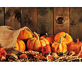   Autumn, Thanksgiving, Autumn Decoration