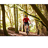   Forest, Mountain Biker, Mountain Biking