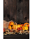   Thanksgiving, Harvest Time, Autumn Decoration