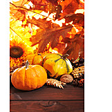   Herbst, Kürbis, Erntedankfest, Thanksgiving