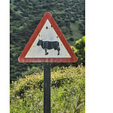   Traffic Sign, Animals, Cattle Drive