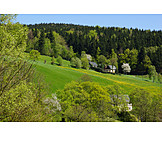   Erzgebirge, Muldental