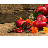   Fruit, Apple, Autumn, Thanksgiving