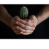   Schutz & Sicherheit, Kaktus