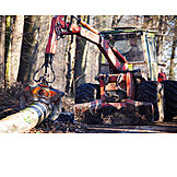   Forestry, Forest work
