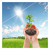  Security & Protection, Growth, Seedling