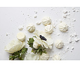   Hochzeit, Weiß, Blumendekoration