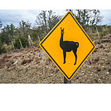   Information Sign, Wildlife, Ruta Nacional 40