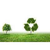   Ecologically, Recycling, Recycling, Sustainability