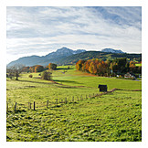   Oberbayern, Berchtesgadener Land, Anger, Höglwörth, Rupertiwinkel