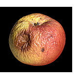   Apple, Rot, Aging Process