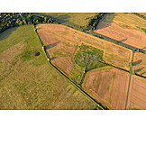   Field, Arable, Agriculture, Aerial View